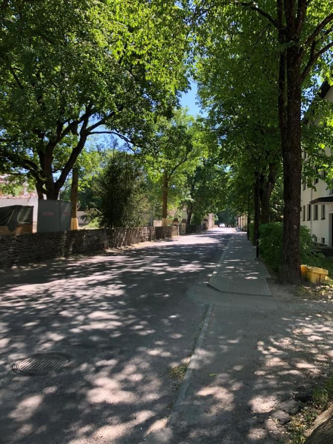 Хостелы Telegraf Backpackers (18+) Курессааре-31