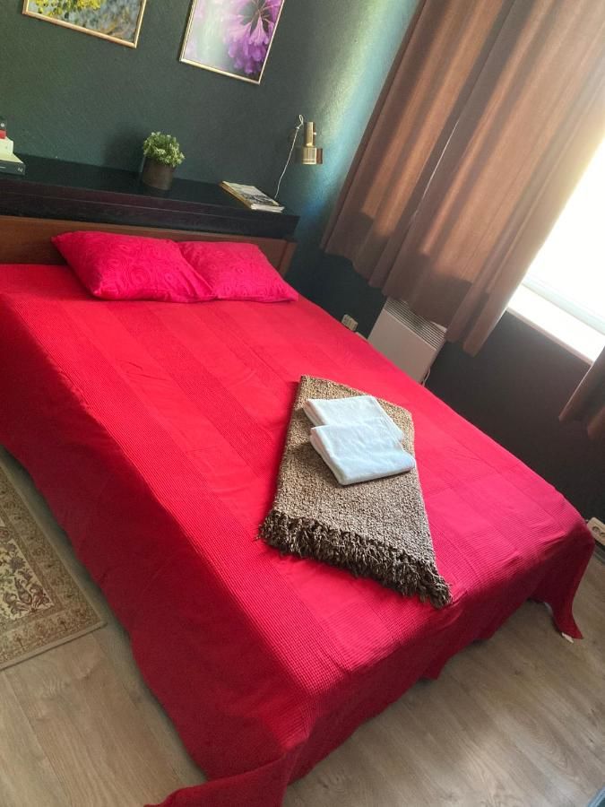 Хостелы Telegraf Backpackers (18+) Курессааре