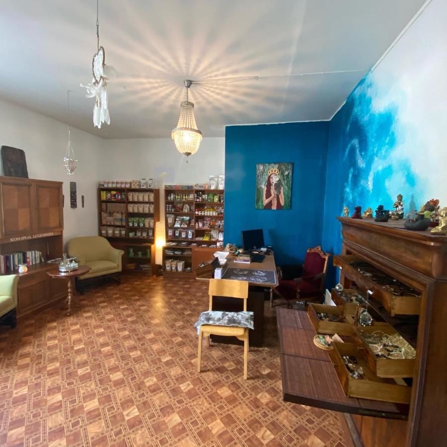 Хостелы Telegraf Backpackers (18+) Курессааре-12